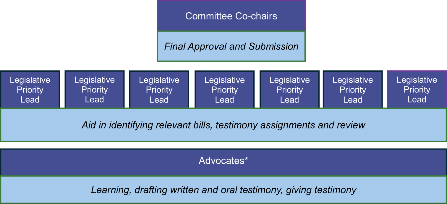 MdPHA’s advocacy committee structure. *Can aid in identifying relevant bills. MdPHA: Maryland public health association.