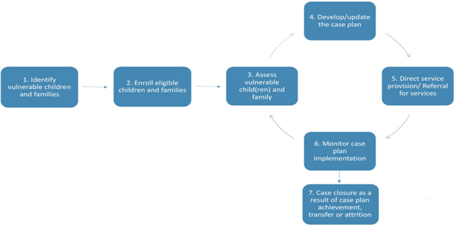 Case Management Process: Graphic informed by Centre for International Social Work at Rutgers University’s School of Social Work and International Social Service-USA for USAID.