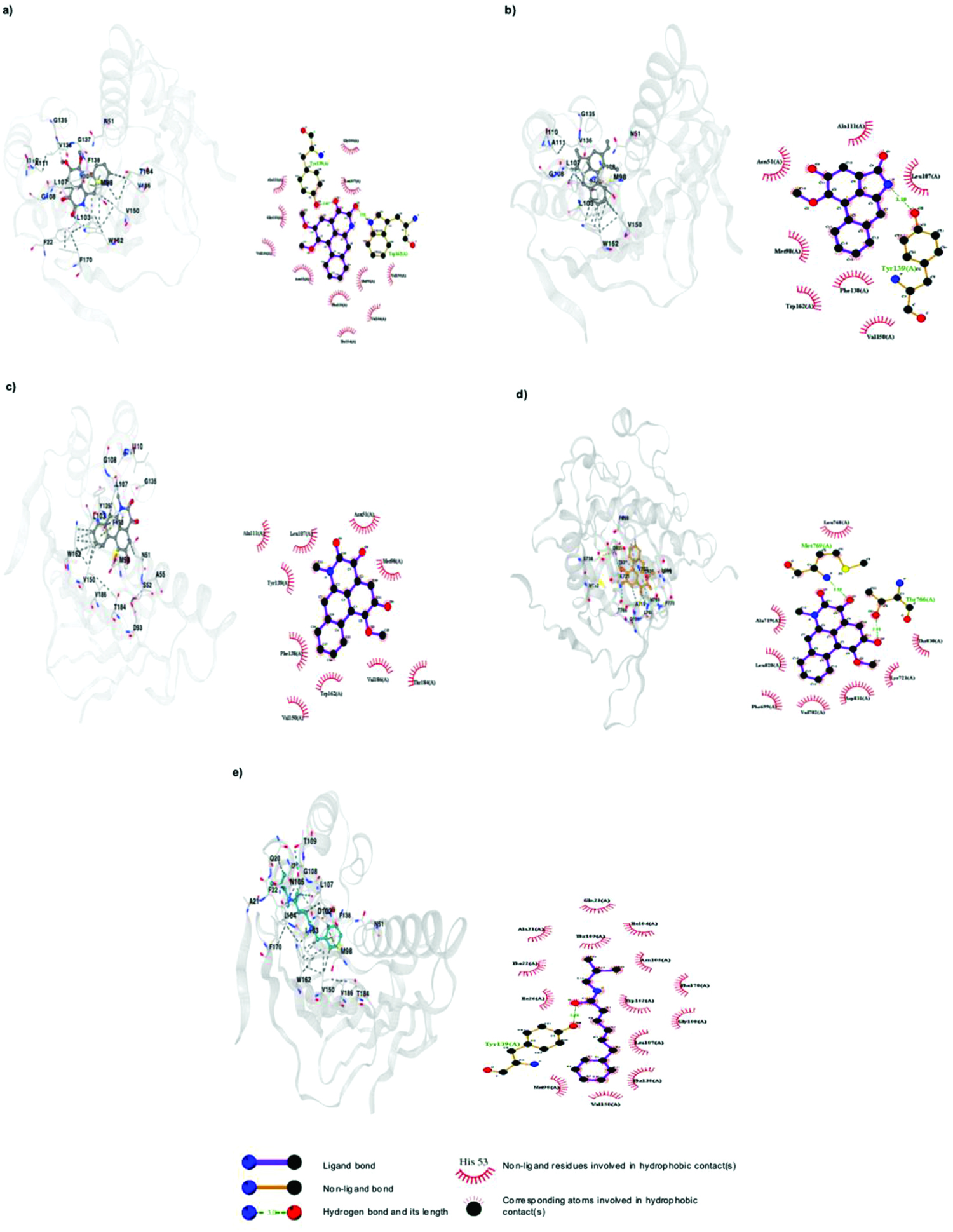 Molecular docking results of key bioactive compounds of <em>P. longum</em> with breast cancer hub genes. (a) HSP90AA1_Norcepharadione B; (b) HSP90AA1_Aristolactam AII; (c) HSP90AA1_Aristolodione; (d) EGFR_Aristolodione; (e) HSP90AA1_N-isobutyl decadienamide.